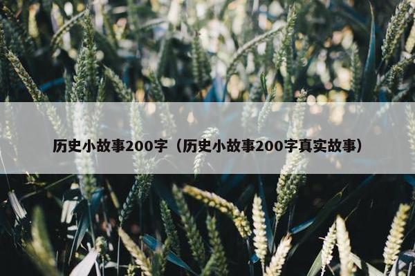 历史小故事200字（历史小故事200字真实故事）