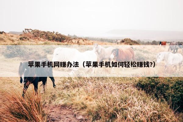 苹果手机网赚办法（苹果手机如何轻松赚钱?）