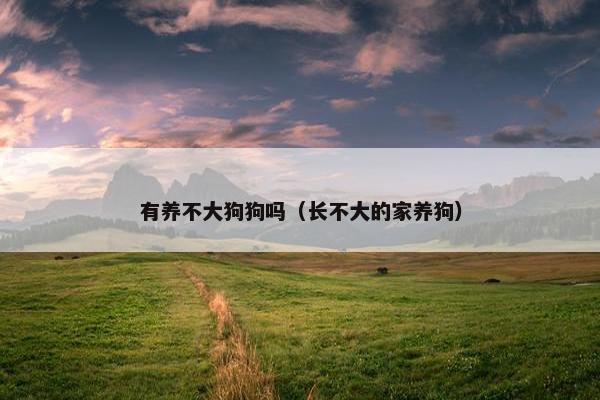 有养不大狗狗吗（长不大的家养狗）