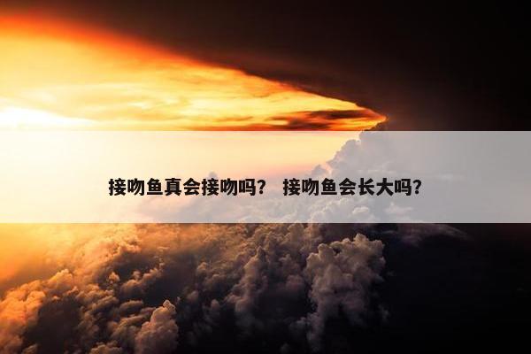 接吻鱼真会接吻吗？ 接吻鱼会长大吗？