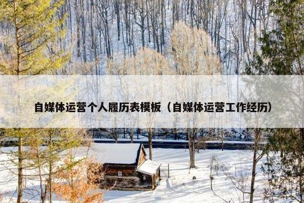 自媒体运营个人履历表模板（自媒体运营工作经历）