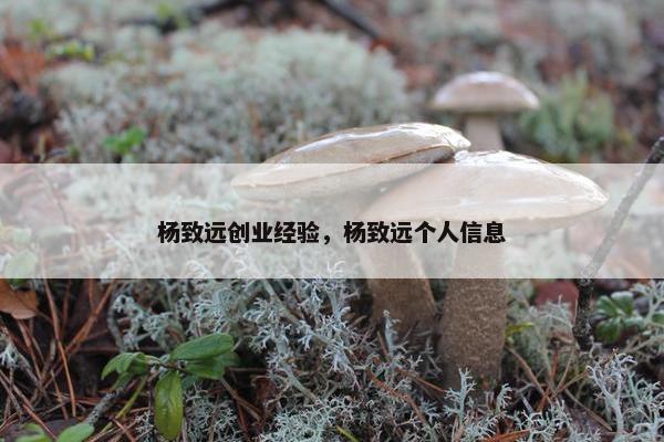 杨致远创业经验，杨致远个人信息