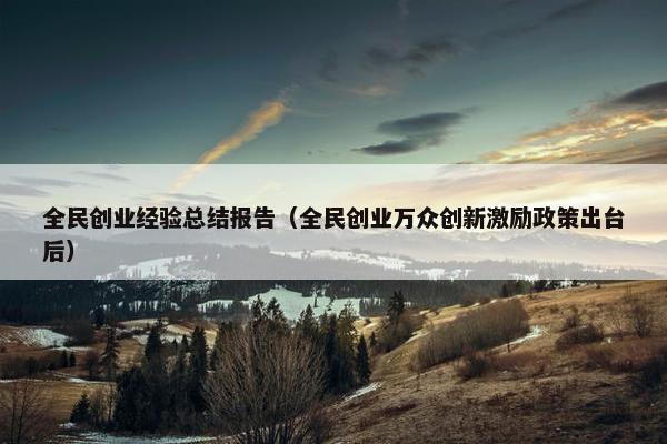 全民创业经验总结报告（全民创业万众创新激励政策出台后）