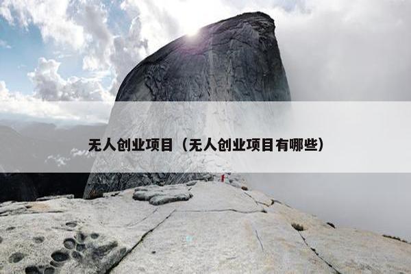 无人创业项目（无人创业项目有哪些）