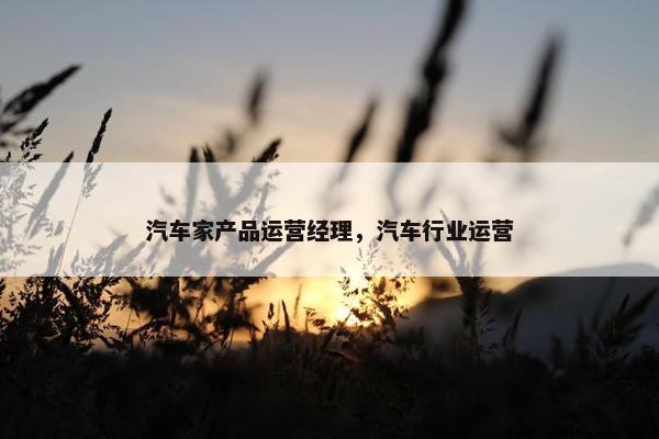 汽车家产品运营经理，汽车行业运营