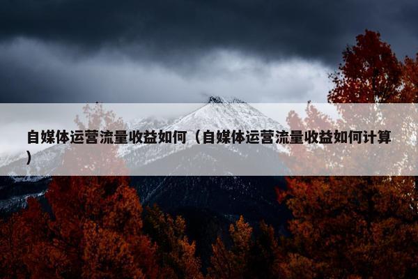 自媒体运营流量收益如何（自媒体运营流量收益如何计算）