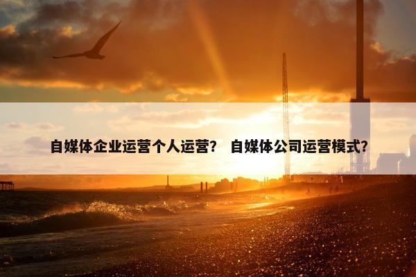自媒体企业运营个人运营？ 自媒体公司运营模式？
