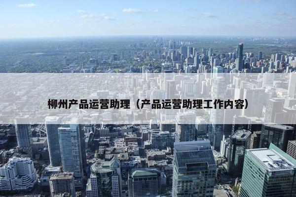 柳州产品运营助理（产品运营助理工作内容）