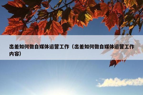 出差如何做自媒体运营工作（出差如何做自媒体运营工作内容）