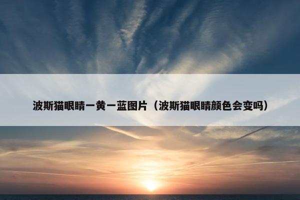 波斯猫眼睛一黄一蓝图片（波斯猫眼睛颜色会变吗）
