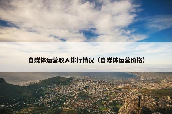自媒体运营收入排行情况（自媒体运营价格）