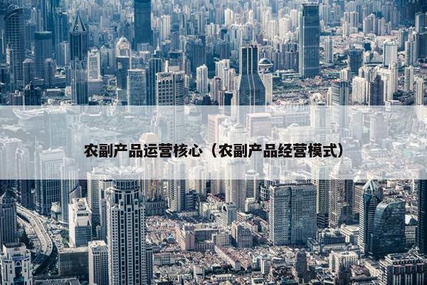 农副产品运营核心（农副产品经营模式）