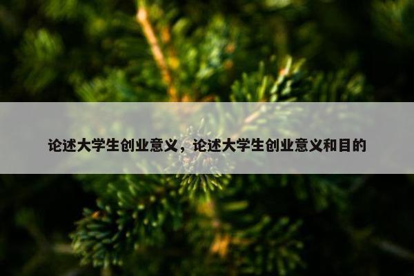 论述大学生创业意义，论述大学生创业意义和目的