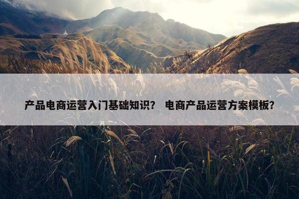 产品电商运营入门基础知识？ 电商产品运营方案模板？