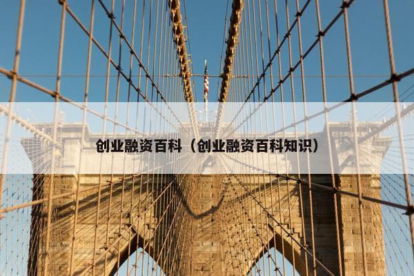 创业融资百科（创业融资百科知识）