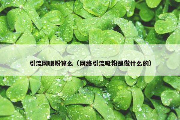 引流网赚粉算么（网络引流吸粉是做什么的）