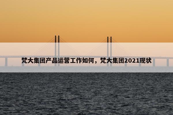 梵大集团产品运营工作如何，梵大集团2021现状
