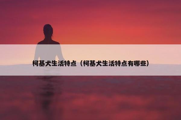 柯基犬生活特点（柯基犬生活特点有哪些）