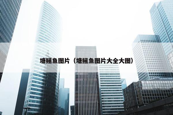 塘鲺鱼图片（塘鲺鱼图片大全大图）