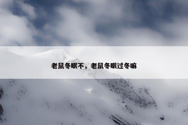 老鼠冬眠不，老鼠冬眠过冬嘛