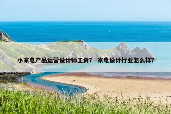 小家电产品运营设计师工资？ 家电设计行业怎么样？