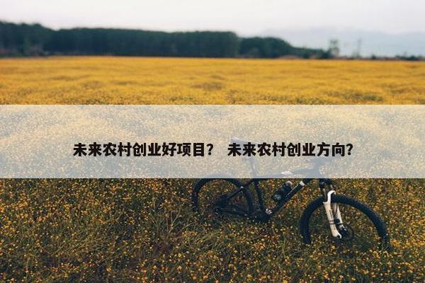 未来农村创业好项目？ 未来农村创业方向？