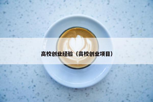 高校创业经验（高校创业项目）