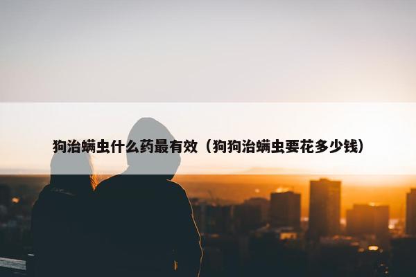 狗治螨虫什么药最有效（狗狗治螨虫要花多少钱）
