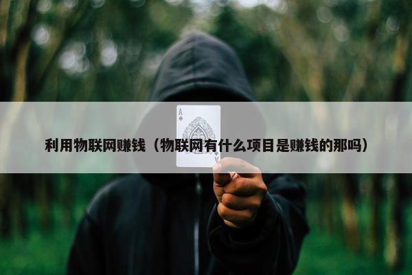 利用物联网赚钱（物联网有什么项目是赚钱的那吗）