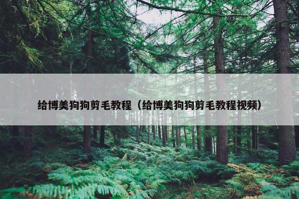 给博美狗狗剪毛教程（给博美狗狗剪毛教程视频）