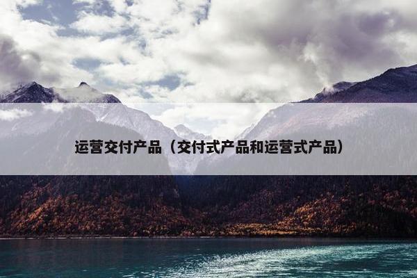 运营交付产品（交付式产品和运营式产品）