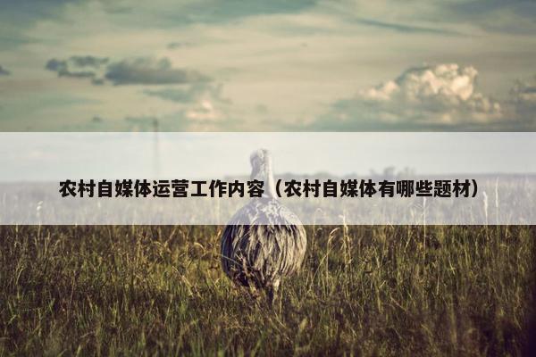 农村自媒体运营工作内容（农村自媒体有哪些题材）
