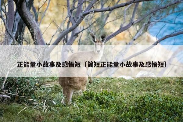 正能量小故事及感悟短（简短正能量小故事及感悟短）