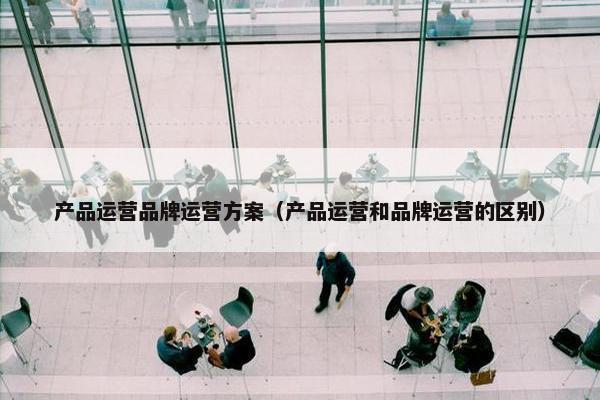 产品运营品牌运营方案（产品运营和品牌运营的区别）