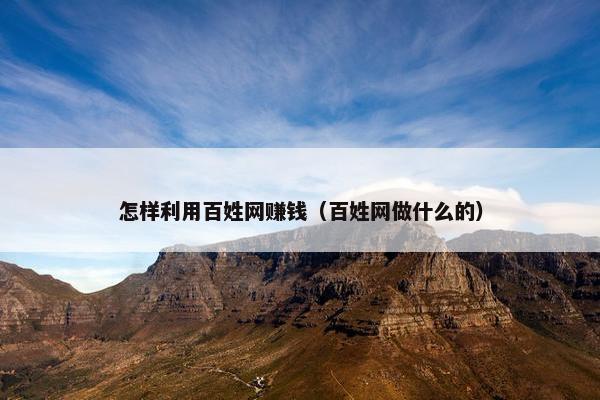 怎样利用百姓网赚钱（百姓网做什么的）