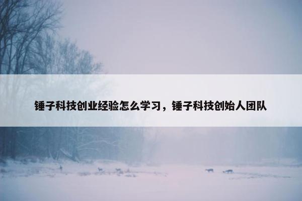 锤子科技创业经验怎么学习，锤子科技创始人团队