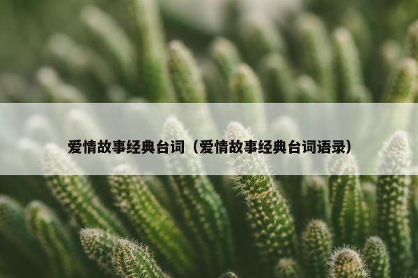 爱情故事经典台词（爱情故事经典台词语录）