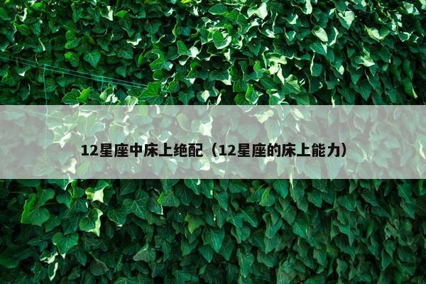 12星座中床上绝配（12星座的床上能力）