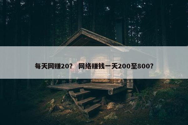 每天网赚20？ 网络赚钱一天200至800？