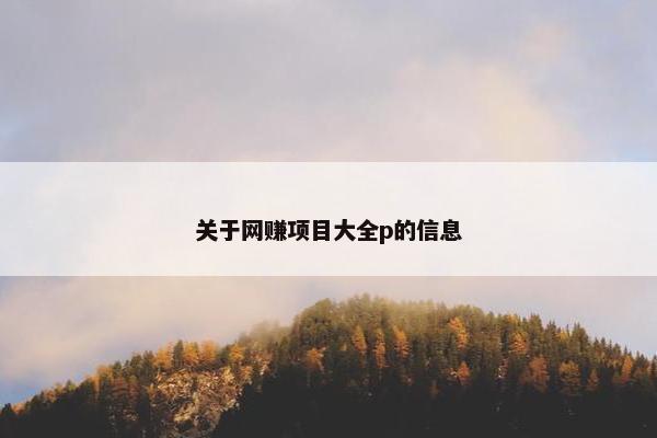 关于网赚项目大全p的信息