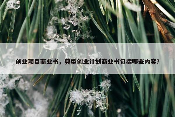 创业项目商业书，典型创业计划商业书包括哪些内容?