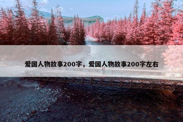 爱国人物故事200字，爱国人物故事200字左右