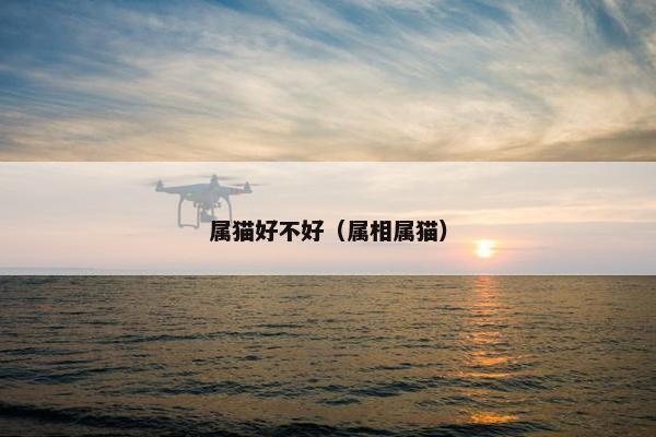 属猫好不好（属相属猫）