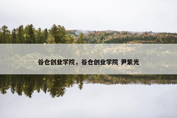 谷仓创业学院，谷仓创业学院 尹紫光