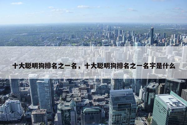 十大聪明狗排名之一名，十大聪明狗排名之一名字是什么