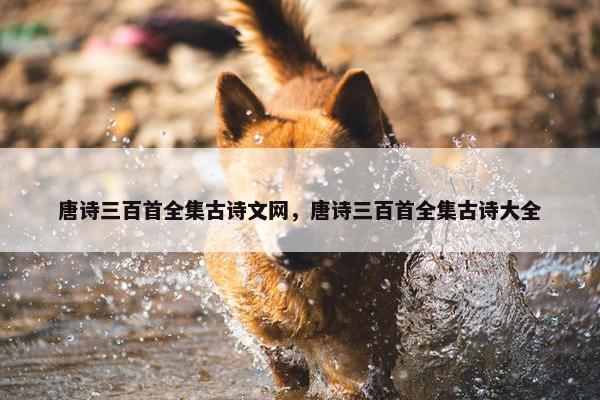 唐诗三百首全集古诗文网，唐诗三百首全集古诗大全