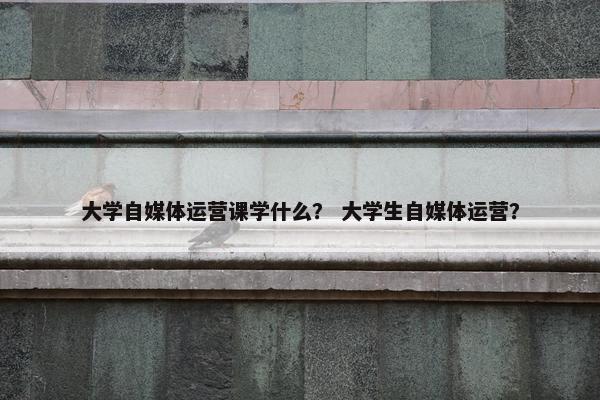 大学自媒体运营课学什么？ 大学生自媒体运营？
