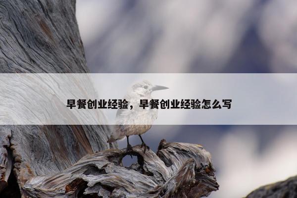 早餐创业经验，早餐创业经验怎么写