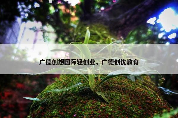 广德创想国际轻创业，广德创优教育
