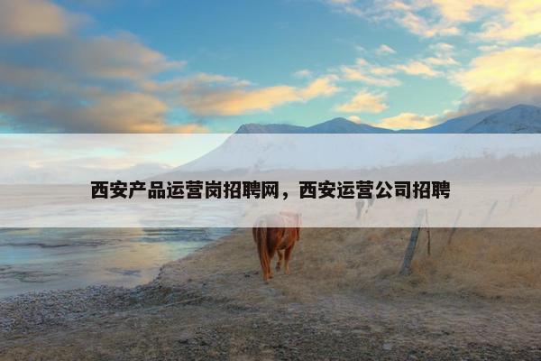 西安产品运营岗招聘网，西安运营公司招聘